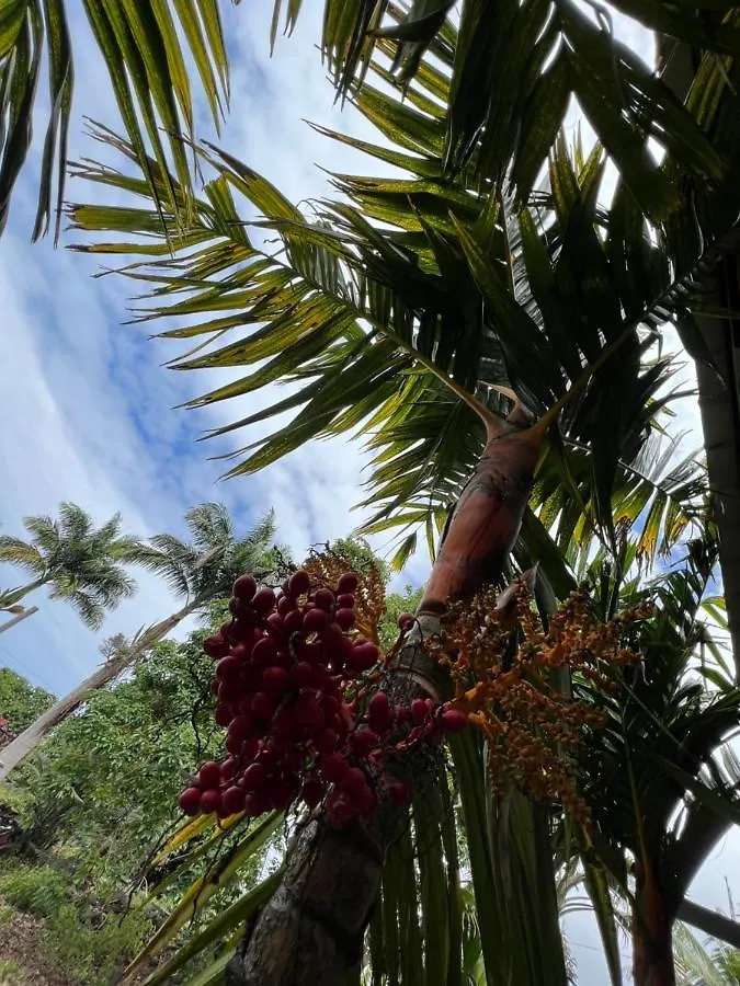 Ferienhaus Villa Hawaii Getaway Holualoa
